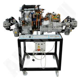 auto edu 3